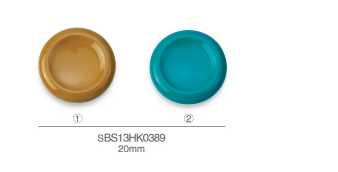 SBS13HK0389