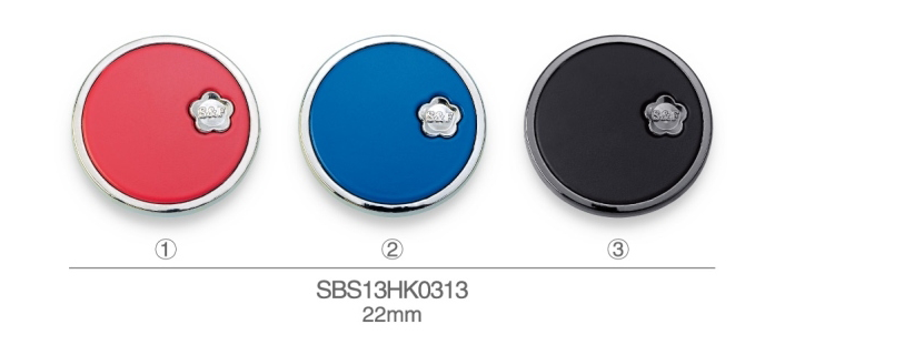 SBS13HK0313
