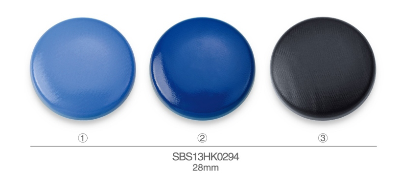 SBS13HK0294
