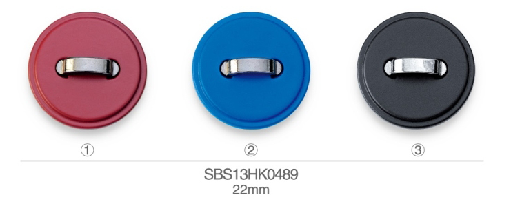 SBS13HK0489