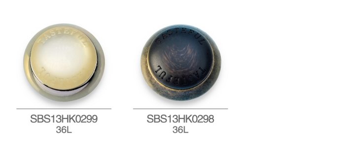 SBS13HK0299