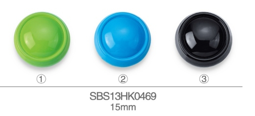 SBS13HK0469